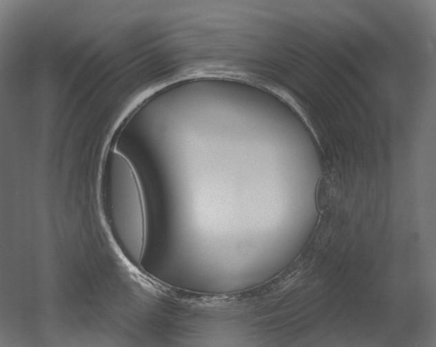 X0000051861147200506240955