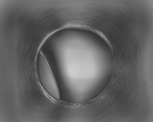 X0000051861148200506240955