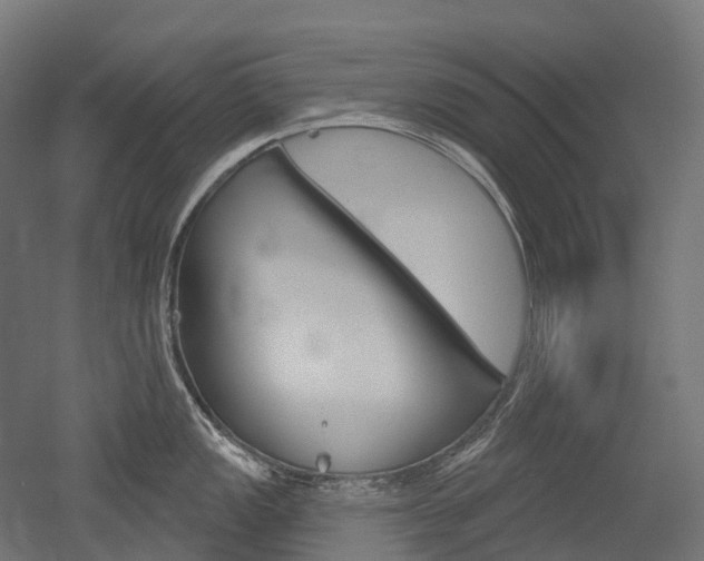X0000051861149200506240955