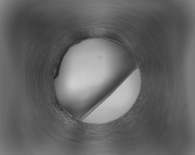 X0000051861153200506240955