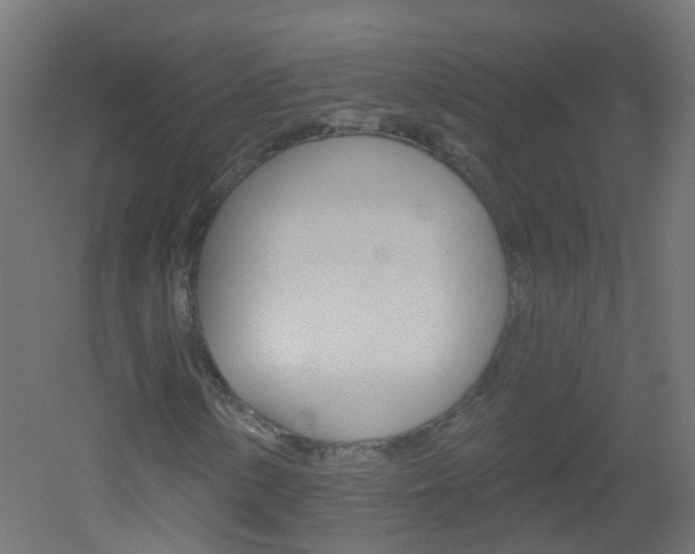 X0000051861154200506240955