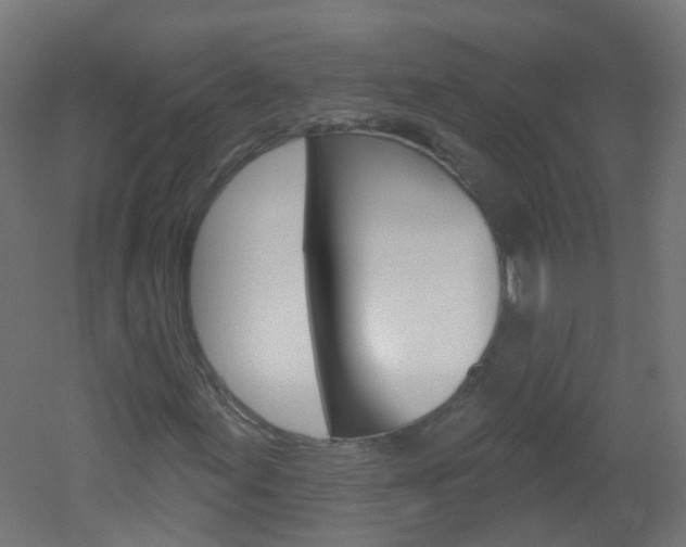 X0000051861155200506240955