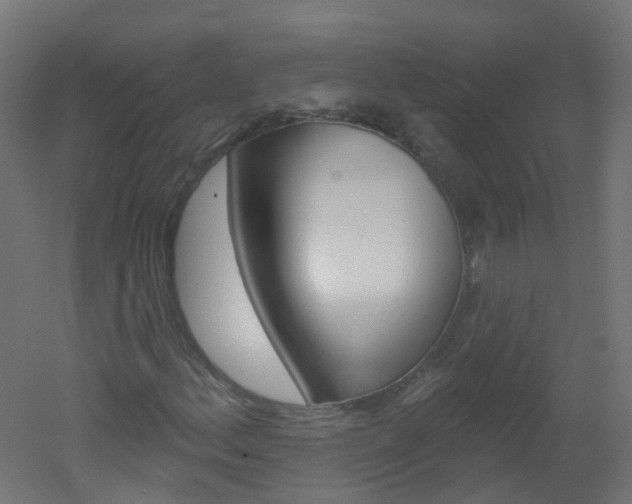 X0000051861156200506240955