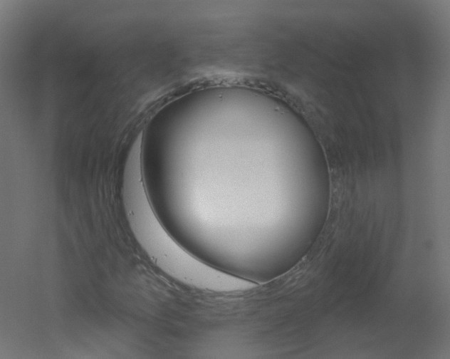 X0000051861157200506240955