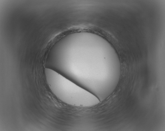 X0000051861158200506240955