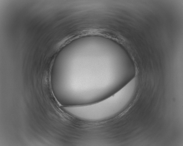 X0000051861161200506240955