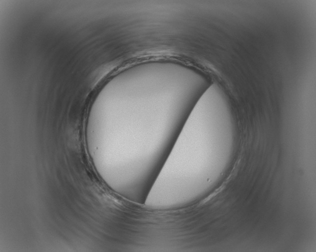 X0000051861162200506240955