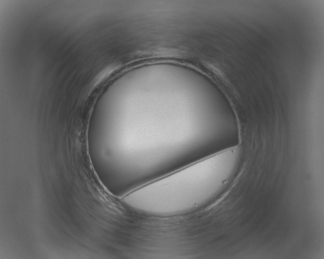 X0000051861163200506240955