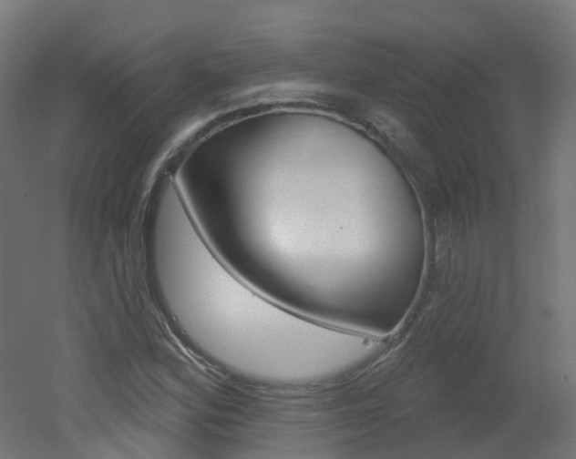 X0000051861164200506240955