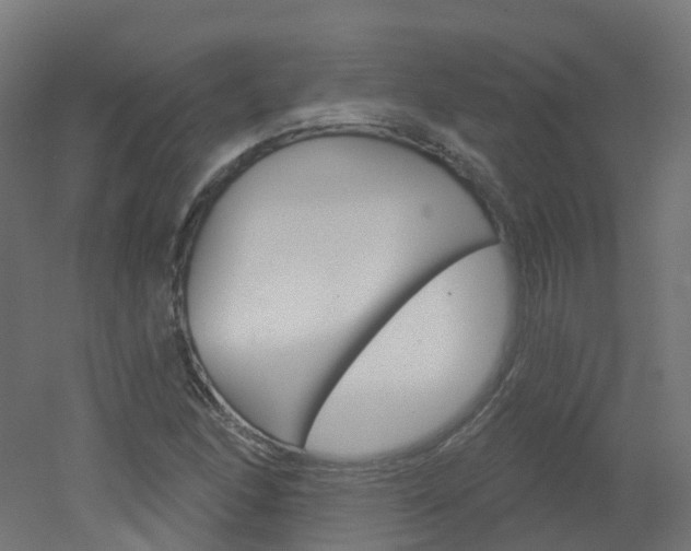 X0000051861166200506240955