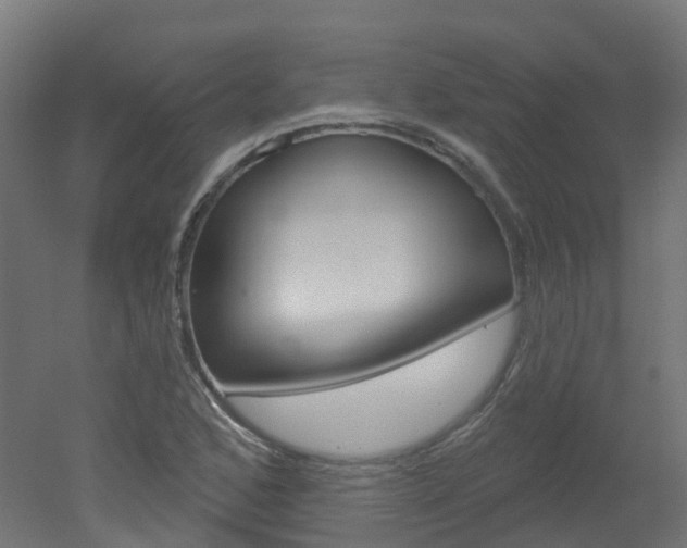 X0000051861168200506240954