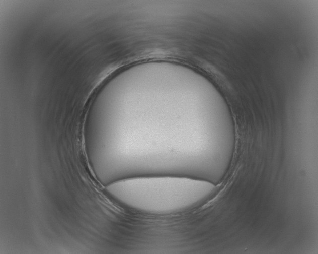 X0000051861170200506240954