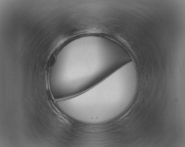 X0000051861171200506240954