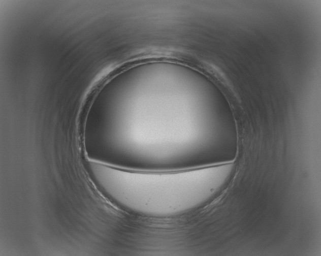 X0000051861172200506240954