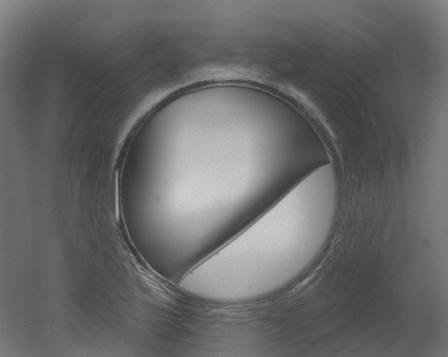 X0000051861175200506240954