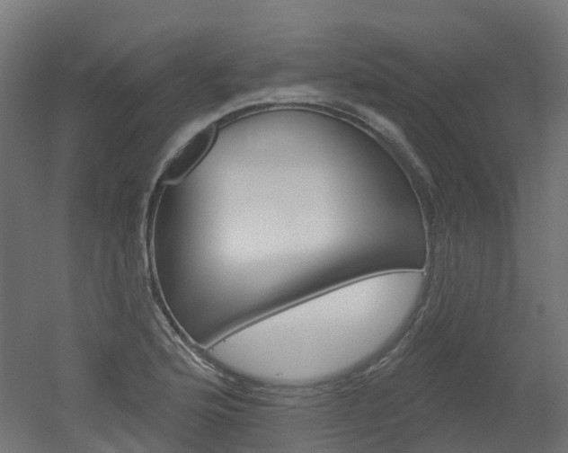 X0000051861176200506240954