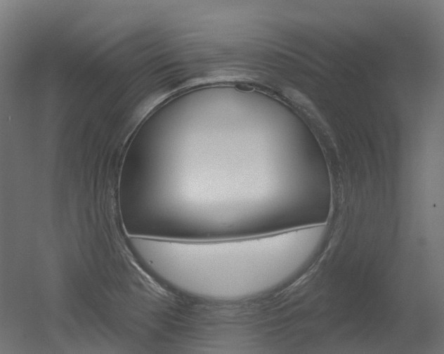 X0000051861177200506240954