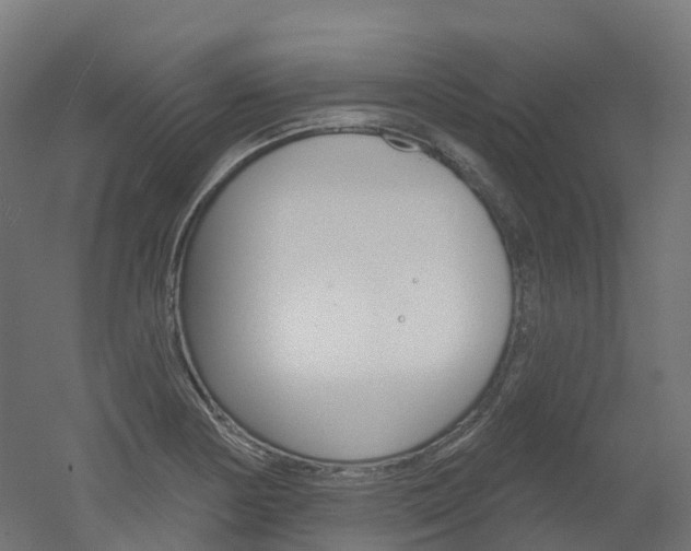 X0000051861178200506240954