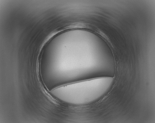 X0000051861179200506240954