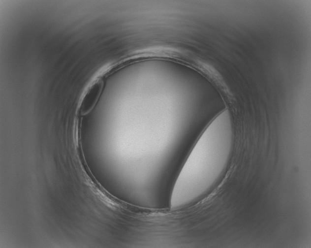 X0000051861180200506240954
