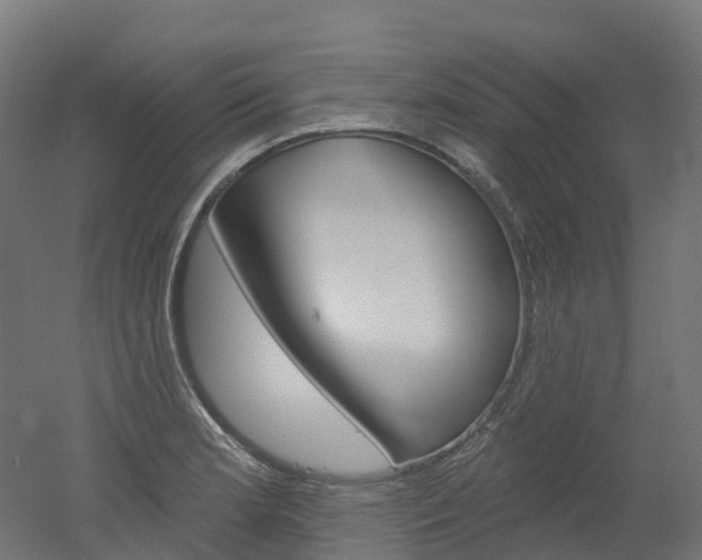 X0000051861181200506240954