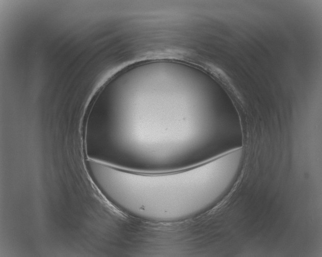 X0000051861184200506240954