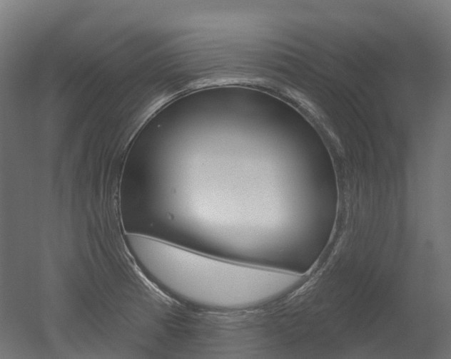 X0000051861185200506240954