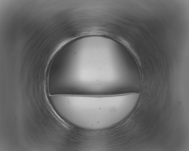 X0000051861187200506240954