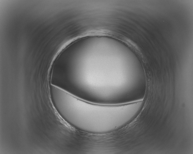 X0000051861192200506240954