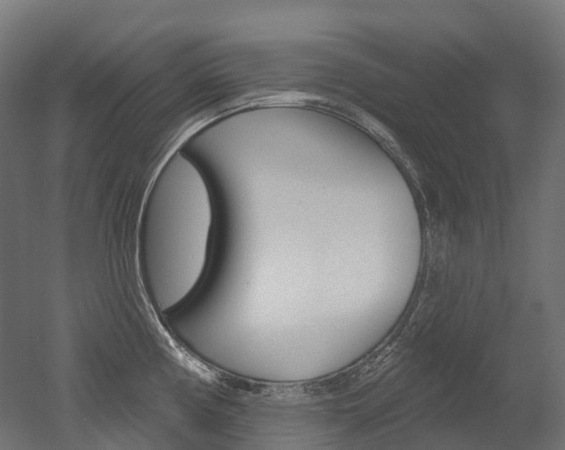 X0000051861194200506240954