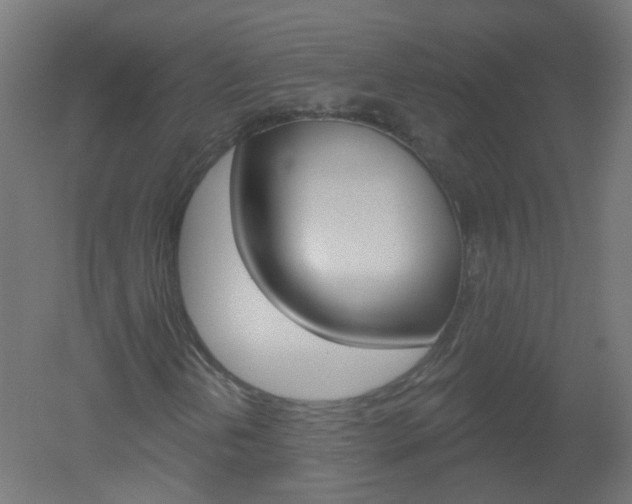 X0000051861202200506240953