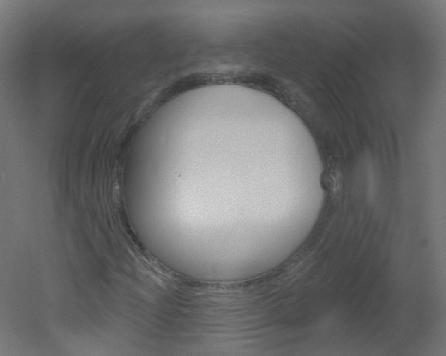 X0000051861204200506240953