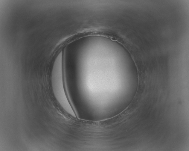 X0000051861206200506240953