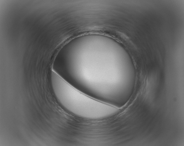 X0000051861209200506240953