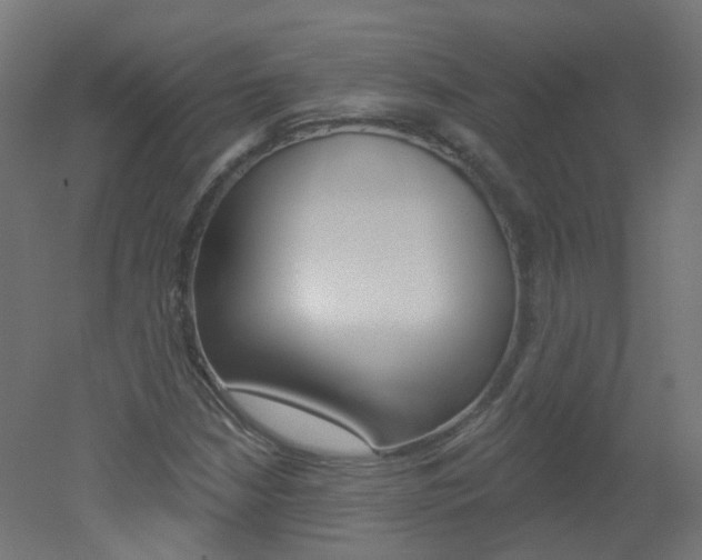 X0000051861210200506240953