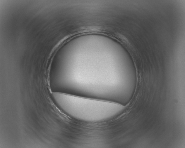 X0000051861212200506240953