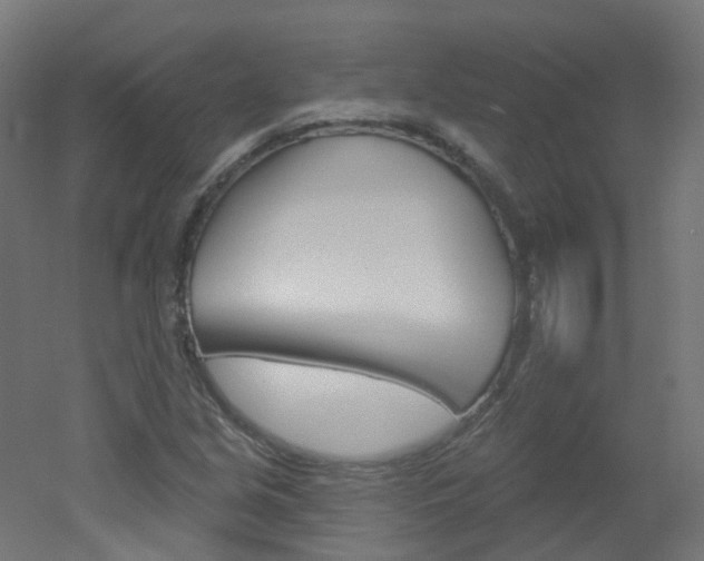 X0000051861213200506240953