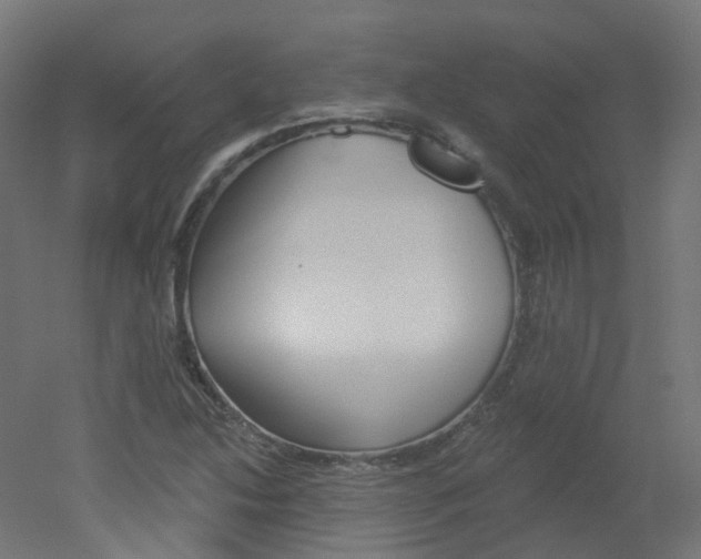 X0000051861214200506240953