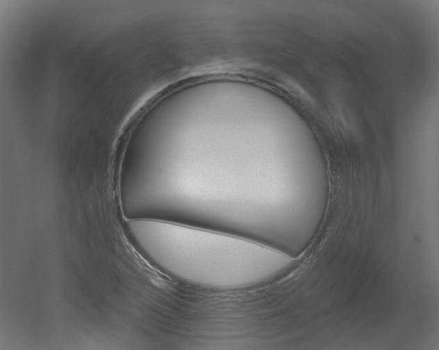 X0000051861216200506240953