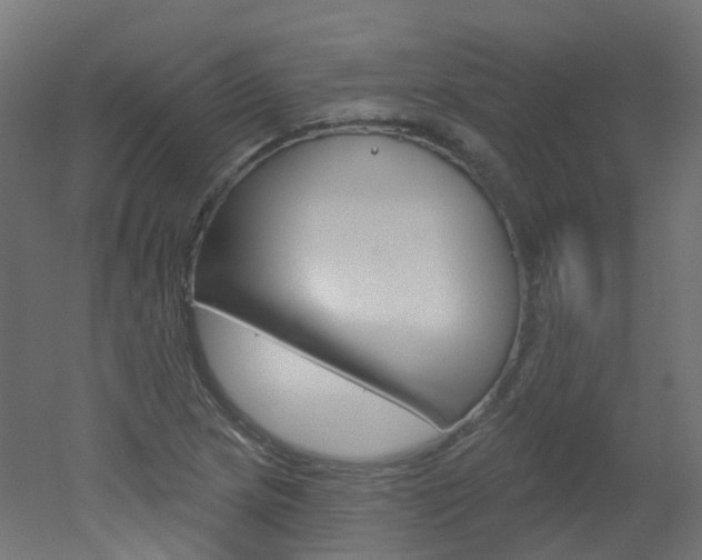 X0000051861217200506240953