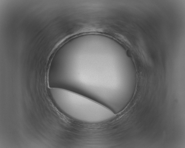 X0000051861220200506240953