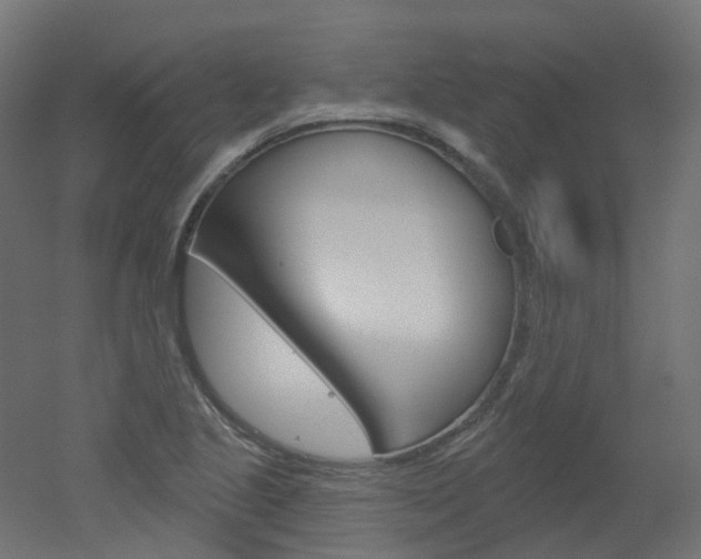 X0000051861221200506240953