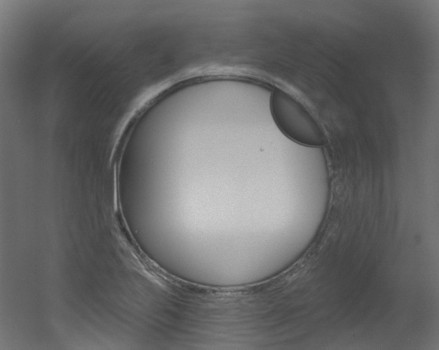 X0000051861223200506240953