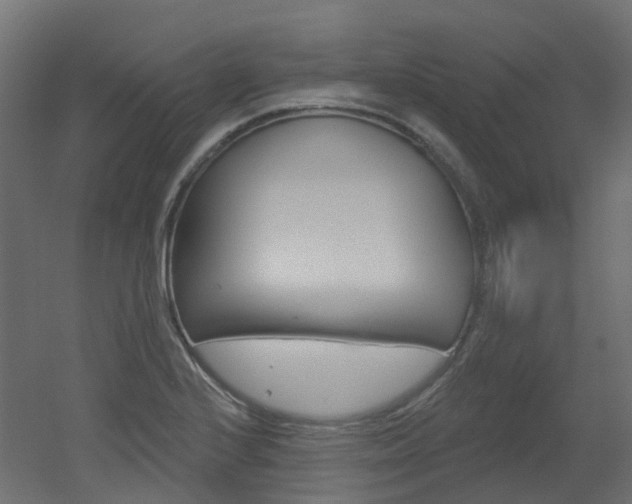 X0000051861224200506240954