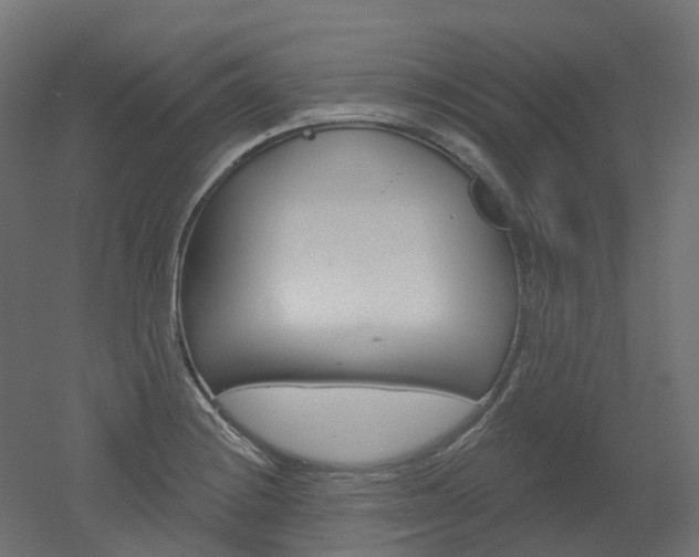 X0000051861228200506240954
