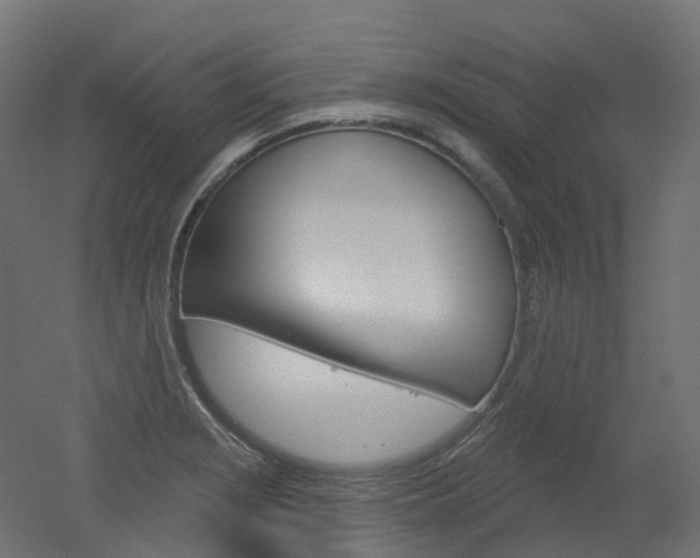 X0000051861229200506240954