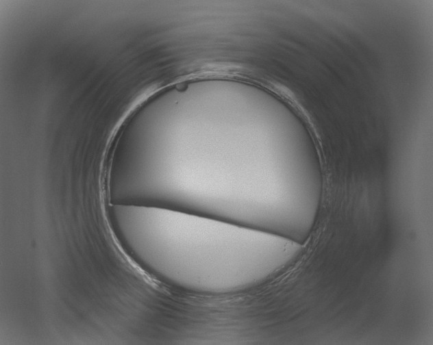 X0000051861235200506240954