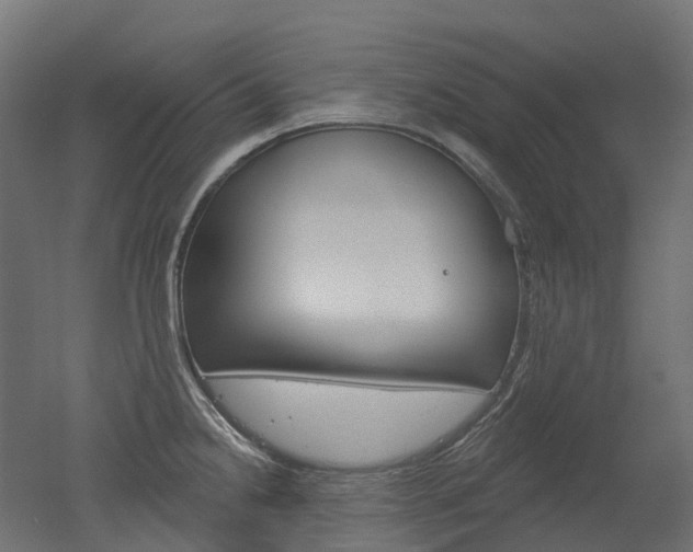 X0000051861238200506240954