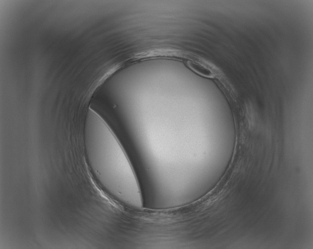 X0000051861241200506240954