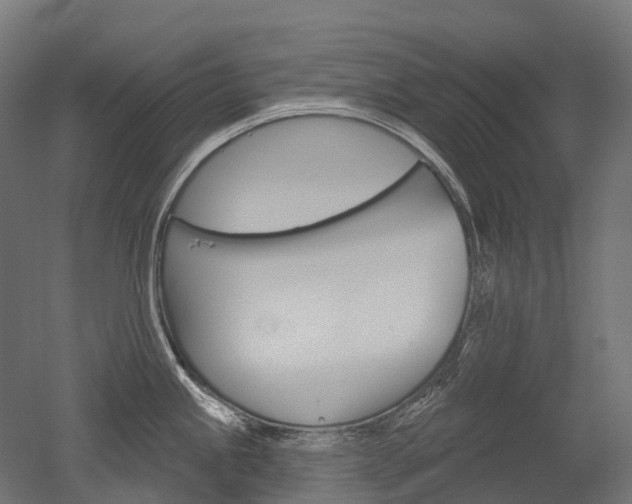 X0000051861245200506240954